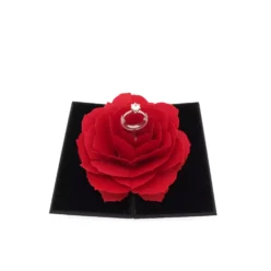 delphine ring box black opening top view