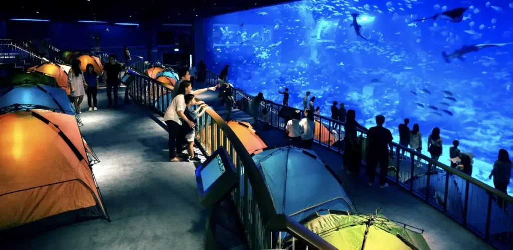 SEA Aquarium Ocean Dreams wedding proposal