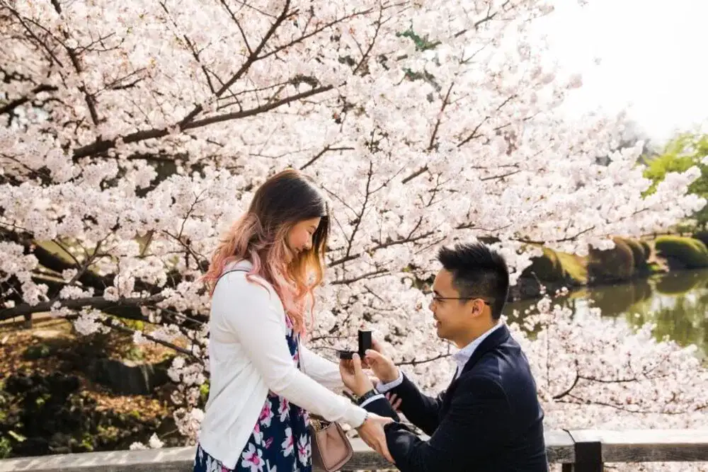 wedding proposal in japan