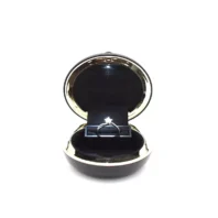 aspen ring box in black opening