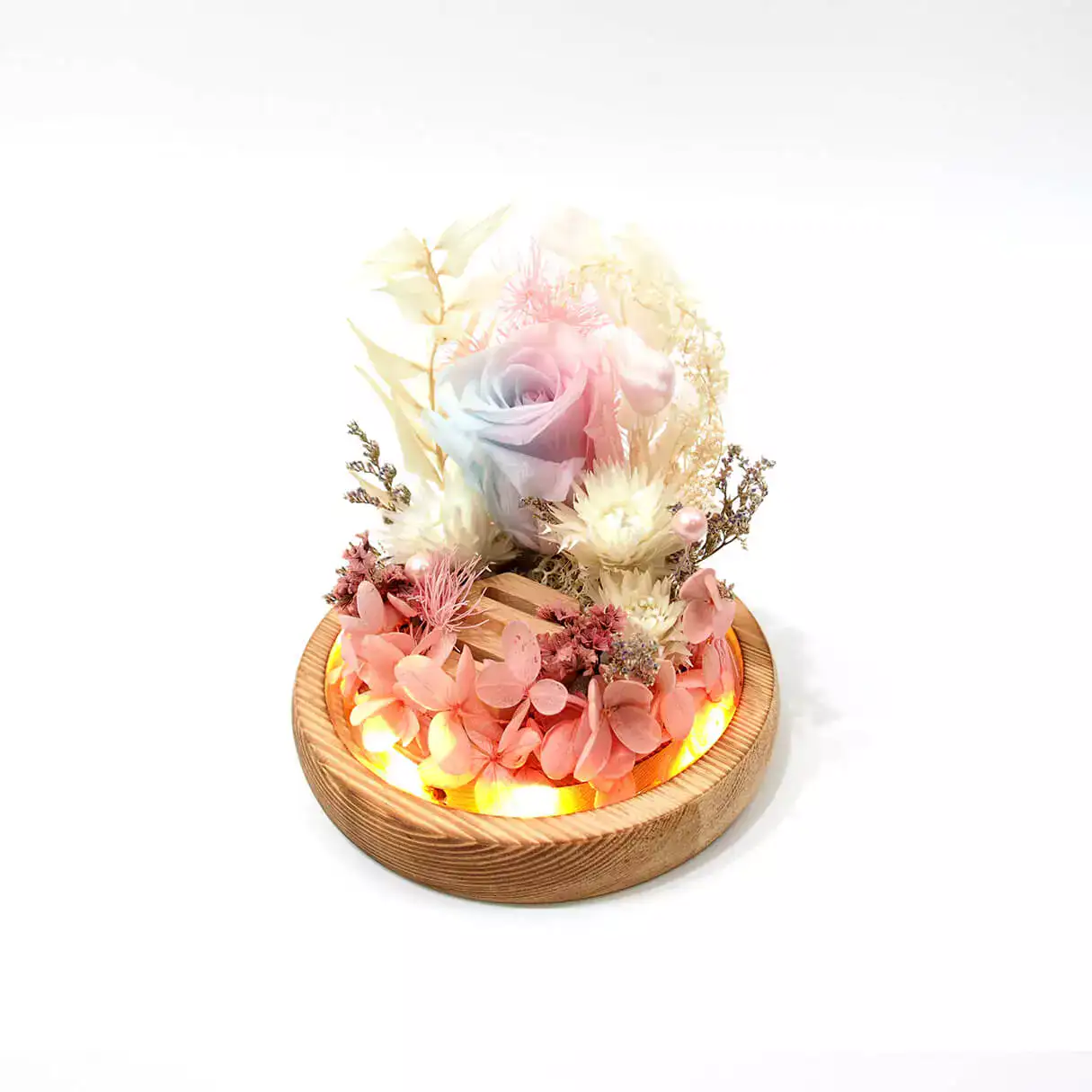 flora flower dome with blue pink preserved rose and LED lights