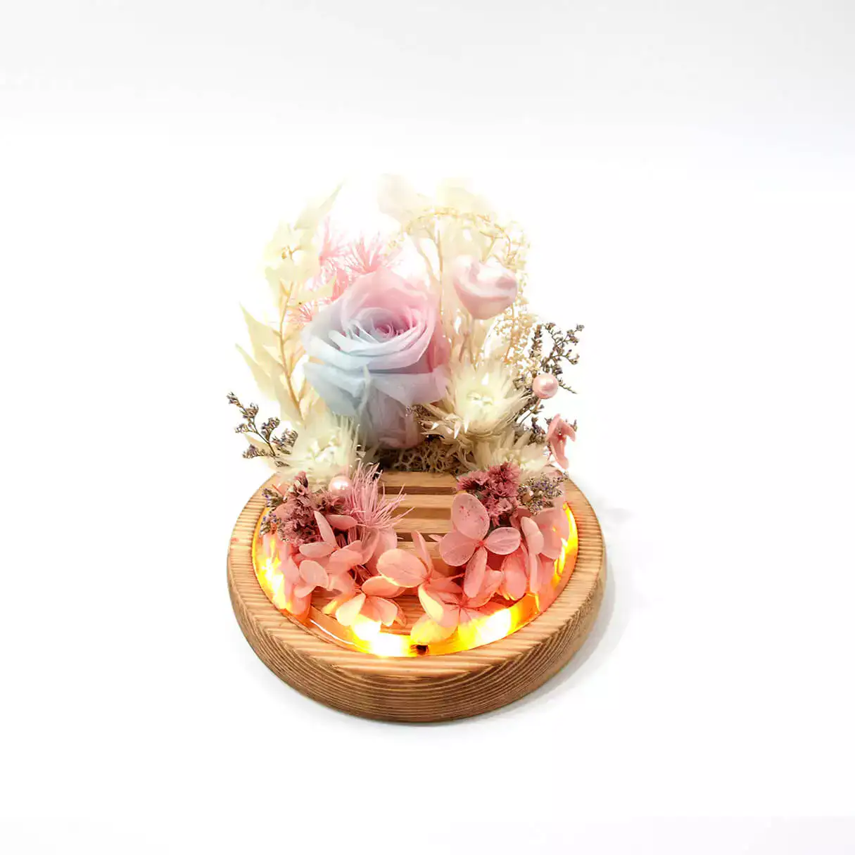 flora flower dome with blue pink preserved rose front view with LED lights