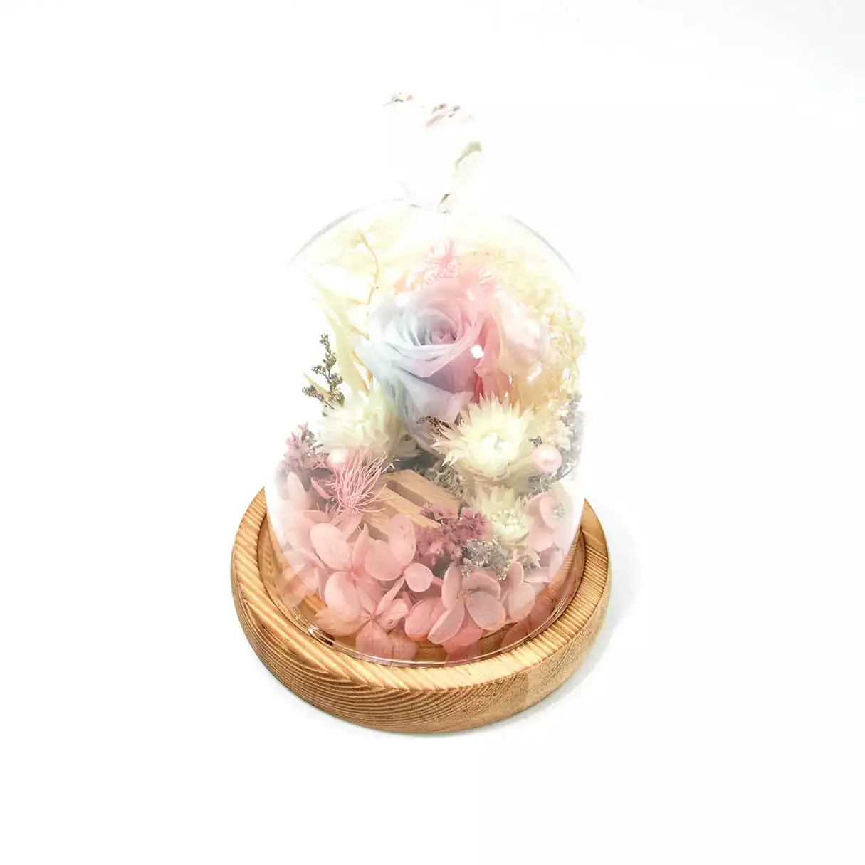 flora flower dome with blue pink preserved rose